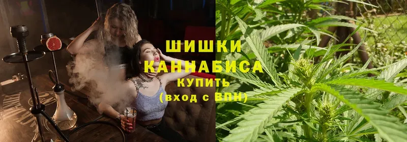 Бошки марихуана Ganja  Бакал 